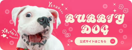 bubbiy_bnr